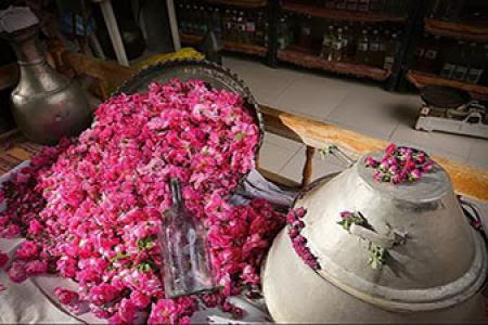 تصویر 3 از گلاب اصل عطری سنتی با کیفیت ممتاز